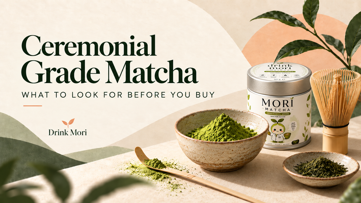 Mori Matcha tin with matcha powder and tea tools for a ceremonial grade matcha buying guide
